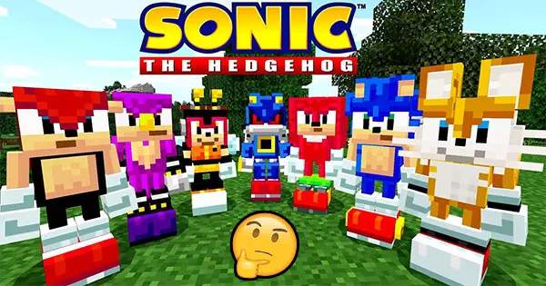 Which Character Are You  In Sonic Minecraft DLC?